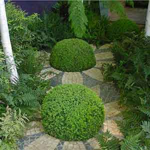 Création de jardin et mosaique